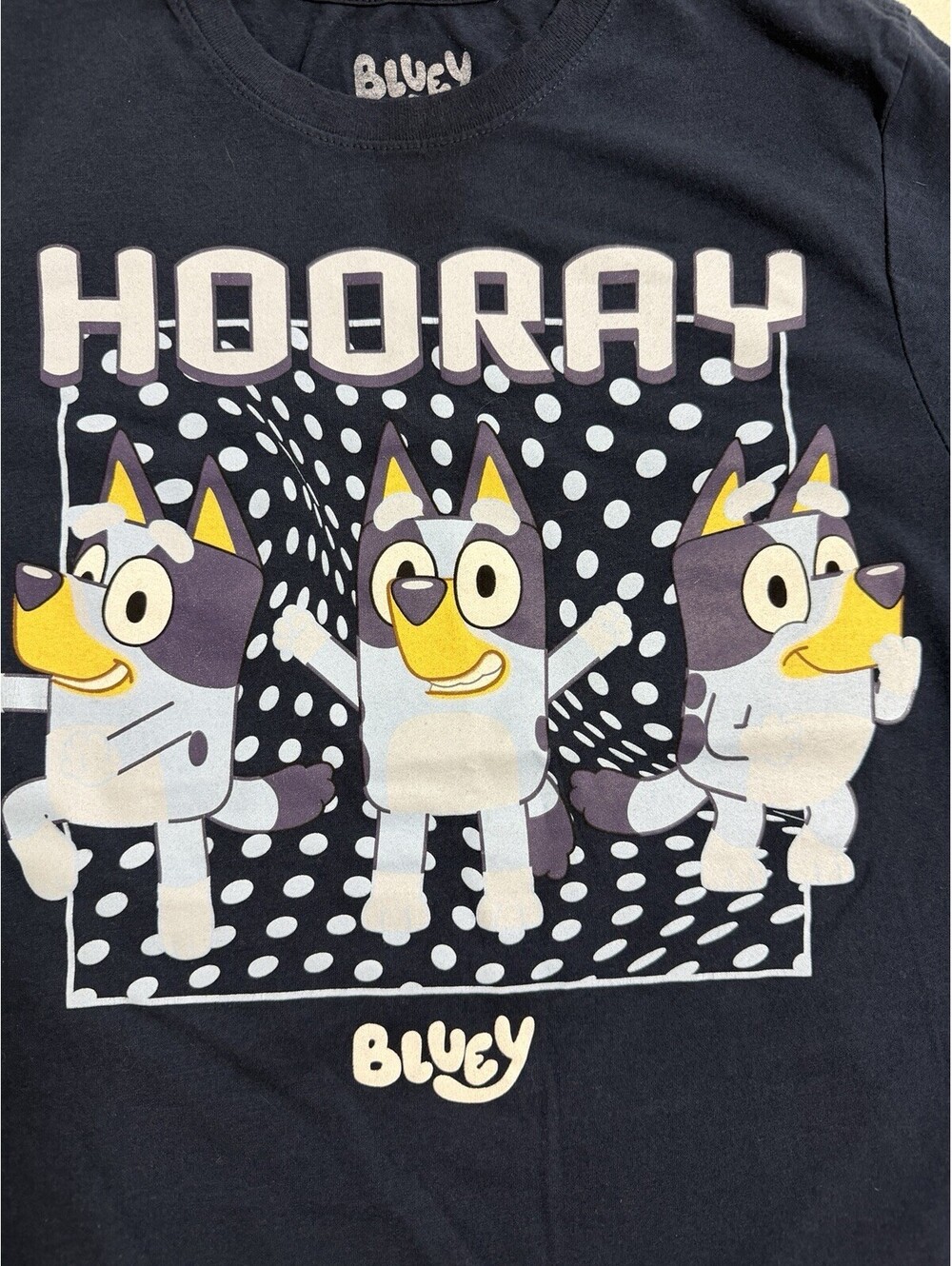 Bluey Graphic T-Shirt Kids Unisex 2XL Blue Short Sleeve Casual Crew Neck Tee